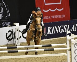 jumper Gangnam Style (Irish Sport Horse, 2006, from Mohill Cavalier Clover)