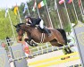 broodmare Caya (Hanoverian, 2015, from Catoki)