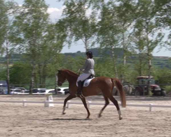 Reitturnier Landenhausen 2025