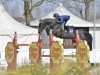 jumper Dalco van het Bevrijdthof Z (Zangersheide riding horse, 2012, from Dallas VDL Z)