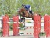 jumper Bucaramanga (Sella Italiano, 2008, from Tartufon della Monica)