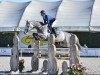 broodmare Clear de Blue PS (Oldenburg show jumper, 2013, from Clearado)