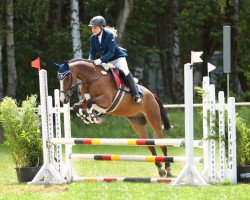 Springpferd Chleyn Pico (Deutsches Reitpony, 2010, von Eichhofs Pik Royal)