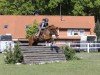 Springpferd Kaskada 8 (Deutsches Sportpferd, 2017, von Kaiserwind)