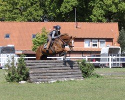 Springpferd Kaskada 8 (Deutsches Sportpferd, 2017, von Kaiserwind)