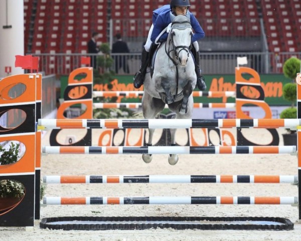 horse Matricola (unknown, 2010, from Acobat I)