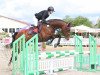 jumper Comtesse Coralie (Holsteiner, 2010, from For Ever Jump)