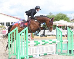 Springpferd Comtesse Coralie (Holsteiner, 2010, von For Ever Jump)