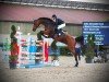 jumper Clearrado 2 (Holsteiner, 2010, from Clearway)