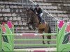 jumper I'm Aljana Special (Estonian Sport, 2015, from I'm Special de Muze)