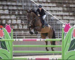jumper I'm Aljana Special (Estonian Sport, 2015, from I'm Special de Muze)