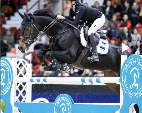 jumper Lorianne (KWPN (Royal Dutch Sporthorse), 2016, from Zapatero VDL)