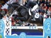 jumper Lorianne (KWPN (Royal Dutch Sporthorse), 2016, from Zapatero VDL)