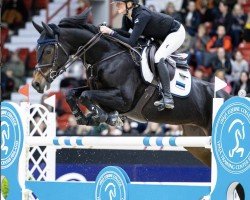 Springpferd Lorianne (KWPN (Niederländisches Warmblut), 2016, von Zapatero VDL)