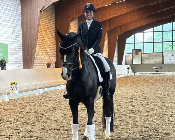 dressage horse Beloved 4 (Oldenburg, 2019, from Callaho's Benicio)