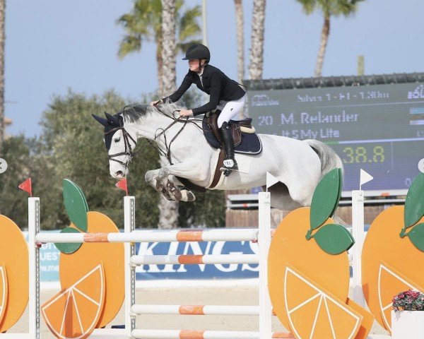 jumper It S My Life (KWPN (Royal Dutch Sporthorse), 2013, from Dutch Design)