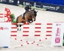 jumper Ipsylon (KWPN (Royal Dutch Sporthorse), 2013, from El Salvador)