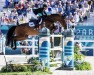 Springpferd Expert (KWPN (Niederländisches Warmblut), 2009, von Ustinov)