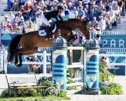jumper Expert (KWPN (Royal Dutch Sporthorse), 2009, from Ustinov)