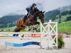 jumper Chacco II CH (Swiss Warmblood, 2008, from Chameur)