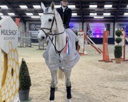 Springpferd Callup (Tori, 2009, von Casanova)