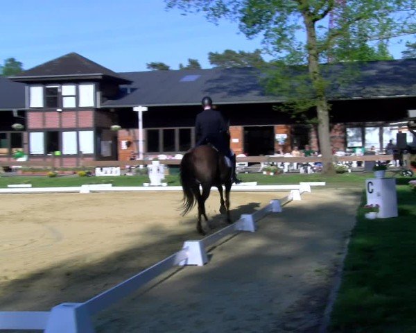 Reitturnier Wesel-Obrighoven 2025