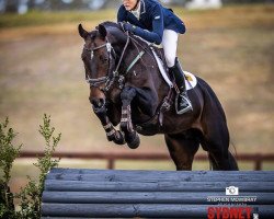 jumper Toulando (Holsteiner, 2012, from Toulon)