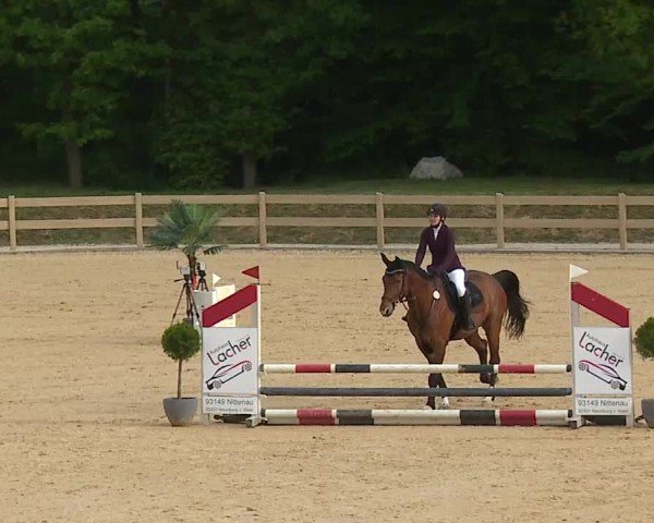 Reitturnier Tiefenhof/Opf. 2025