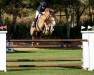 jumper Basic (Oldenburg show jumper, 2011, from Cartouche van het Zorgvliet)