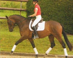 dressage horse Herzensfürst 2 (Trakehner, 2008, from Zauberfürst)