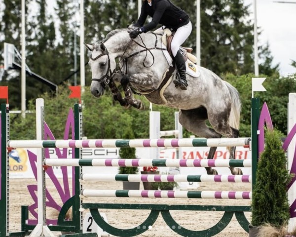 Springpferd Selena TT (Estonian Sportpferd, 2017, von Stakkatol)