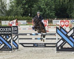 jumper Maya 389 (German Riding Pony, 2015, from Mylord Carwyn)
