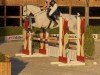 jumper My Cassiolinoïs Baltica (Holsteiner, 2019, from Cabrio van de Heffinck)