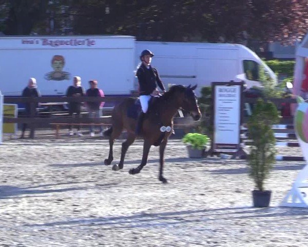 Reitturnier Looperholz 2025