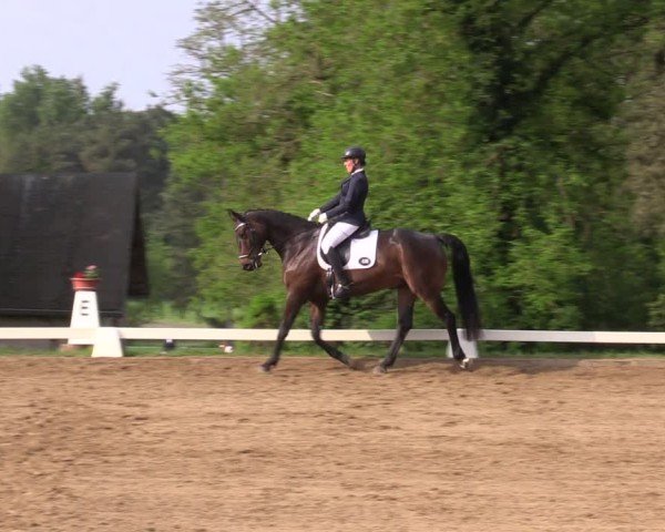 Reitturnier Teupitz 2025