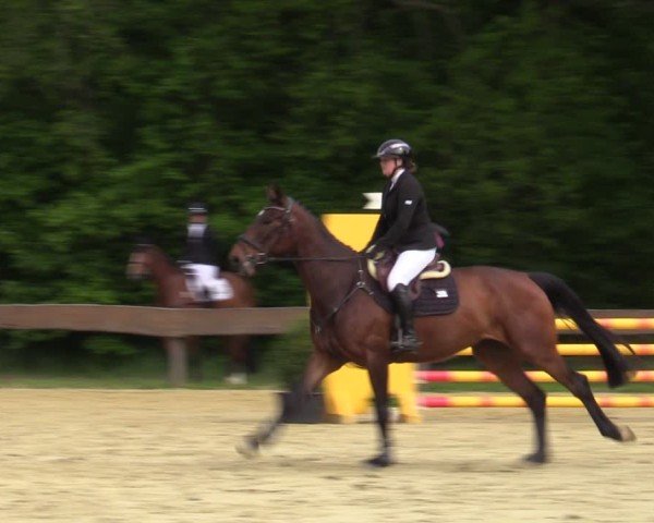 Reitturnier Wesel-Obrighoven 2025