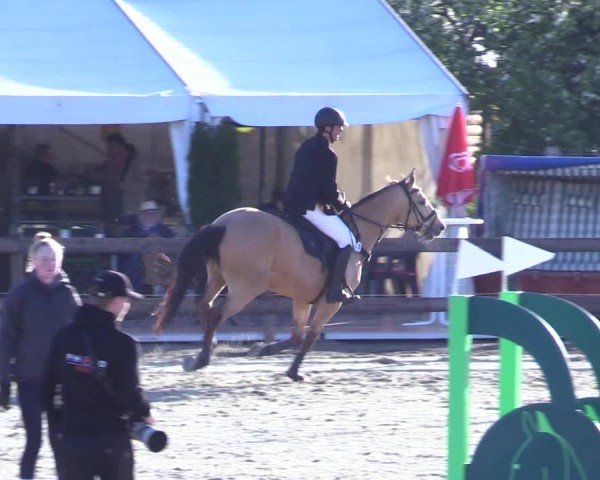 Reitturnier Looperholz 2025