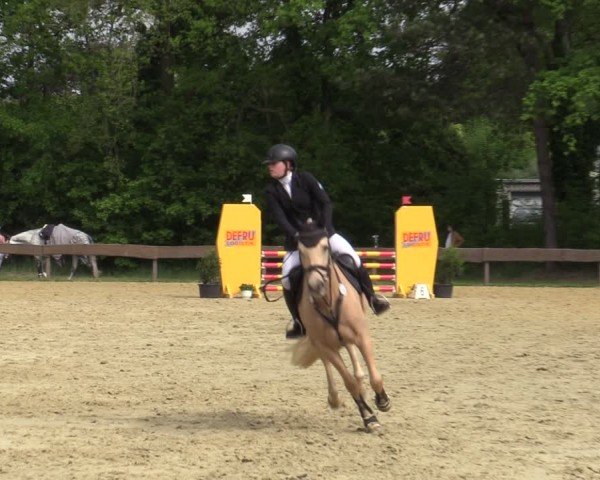 Reitturnier Wesel-Obrighoven 2025