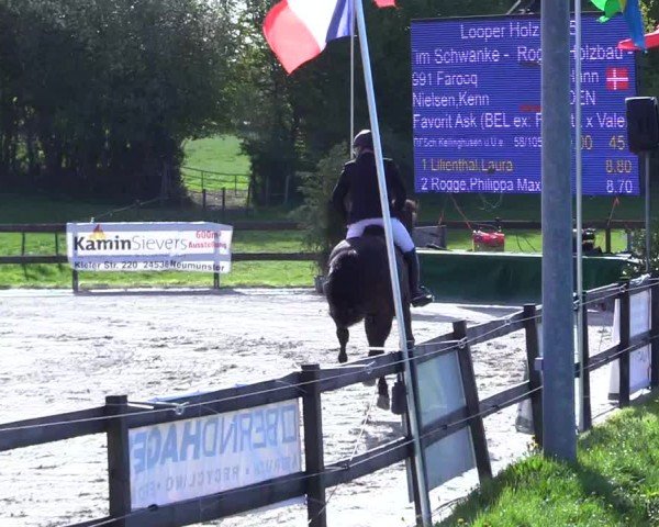 Reitturnier Looperholz 2025