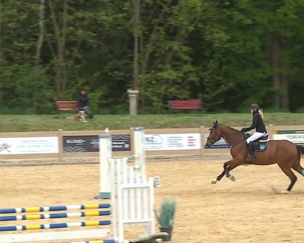 Reitturnier Tiefenhof/Opf. 2025