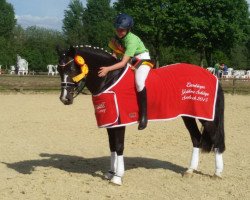 broodmare Nora Belle (German Riding Pony, 2002, from Notre Beau)