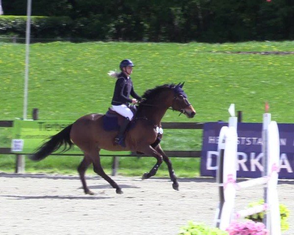 Reitturnier Looperholz 2025