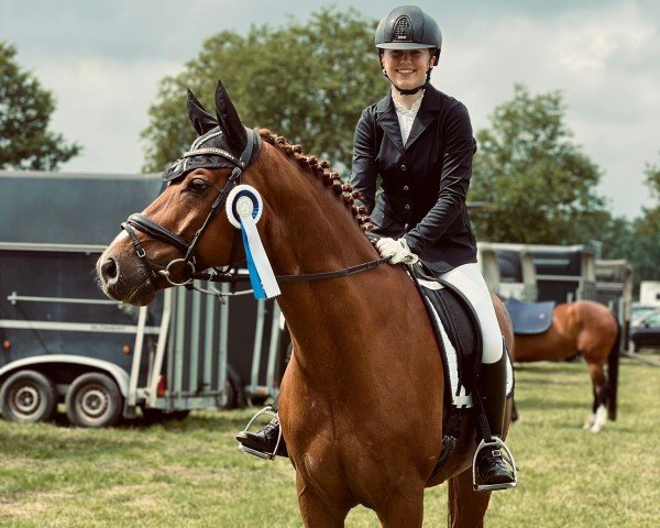 dressage horse Emilio 155 (Westphalian, 2014, from Escolar)