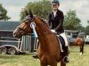 dressage horse Emilio 155 (Westphalian, 2014, from Escolar)