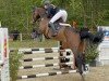 jumper Cassidy 64 (Holsteiner, 2017, from Cash and Carry)