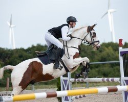 jumper Zeb Mc' Cain (Polish Warmblood, 2009, from Apacz)