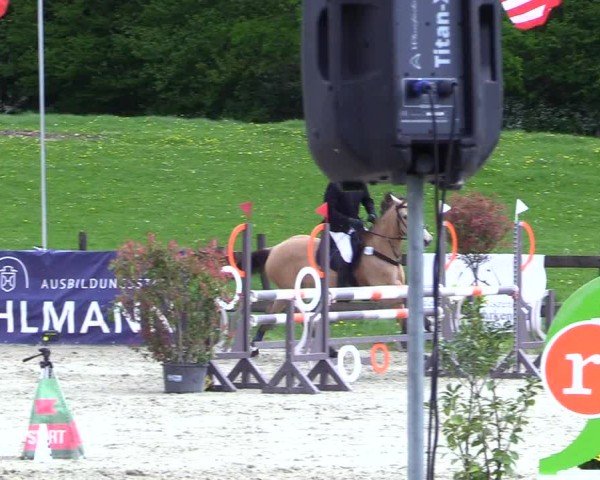 Reitturnier Looperholz 2025