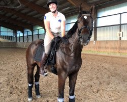 dressage horse Darwin Duke of Wellington S (Westphalian, 2015, from Dante Weltino Old)