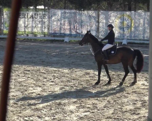 Reitturnier Preding 2025