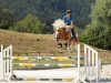 jumper Windos Ass (Haflinger, 2014, from Windos-G)